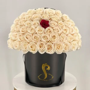 "Elegant Anniversary White Rose Box by SweetsPetals USA, featuring fresh white roses, perfect for celebrating love and anniversaries. Choose SweetsPetals USA for luxurious floral arrangements that make every moment special."